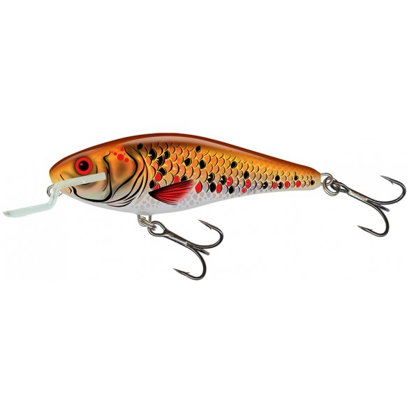 SALMO EXECUTOR 5cm 5g profondeur de nage 0.6-1.2m