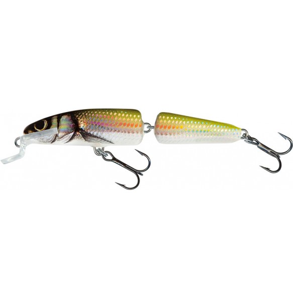 SALMO FANATIC 7cm 5g profondeur de nage 0.5-1m