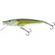 SALMO PIKE 16cm 525g profondeur de nage 2-5m