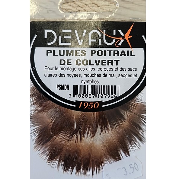 DEVAUX PLUMES POITRAIL DE COLVERT