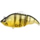 Leurre Flottant Megabass Vatalion 115 F - 11.5Cm 38.5GR