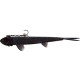 WESTIN TWINTEEZ PELAGIC V-TAIL R'N'R 21CM/70G